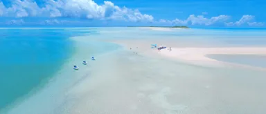 Blue safari